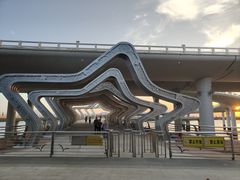 -演武大桥观景平台