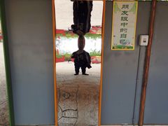 -大槐树寻根祭祖园