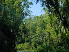 -七仙岭温泉国家森林公园