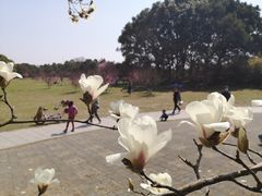 -共青国家森林公园-售票处