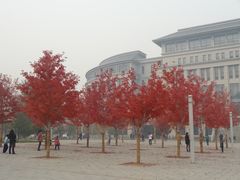 -哈工程图书馆