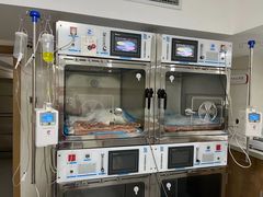 -艾贝尔宠物医院·24H转诊中心·肿瘤猫专科(江宁双龙店)