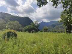 -天目山-昭明禅寺