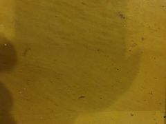 -王阿姨文昌油赞子(府桥街店)