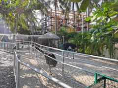 -三亚亚龙湾天域度假酒店