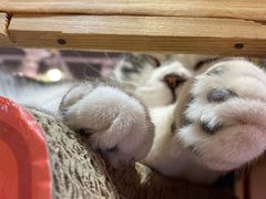 -小时光咖啡馆(开森度假森林店)