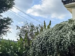 -悦哉·派对·草坪婚礼·围炉煮茶(三圣乡店)
