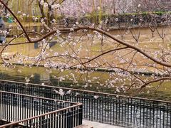 -安定门(地铁站)