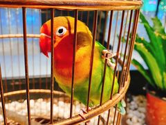 -老湘亲·品鉴湘菜(蔡塘爱琴海店)