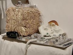 -白噪音White Noise·798概念店