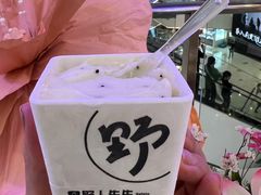 -野人先生Gelato(上海长宁龙之梦店)