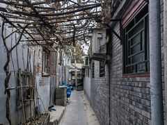 -南锣鼓巷