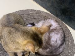 -鹏欣水游城