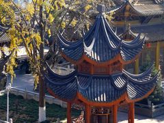 -上海东林寺(金山区)