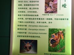 -上海昆虫博物馆