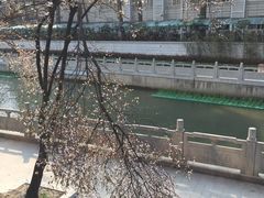 -长江路历史文化街区