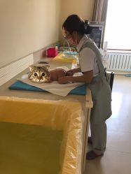 -皇家月府月子中心(沈阳店)