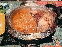 -牛New寿喜烧(金鹰世界店)