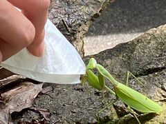 -宁波五龙潭景区