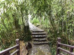 -水绘园