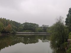 -中华孝德园