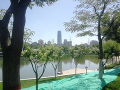 -雁滩公园