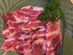 -杨小佳·齐齐哈尔烤肉·烤串(广州店)