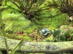 -国家植物园南园