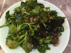 拌田七-船梆煮•蒸汽海鲜·生腌干蒸(五四广场店)