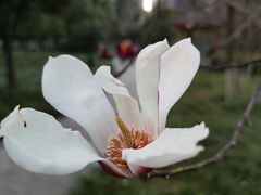 -塔子山公园