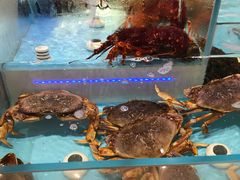-同庆楼(滨湖万达广场店)