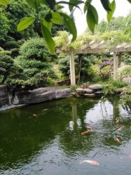 -长沙小顽国景区
