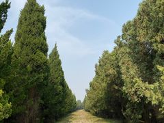 -秦始皇帝陵博物院-丽山园