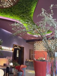 -花隐·美芙炫海菲秀皮肤管理中心