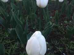 -长春公园(普阳街道)