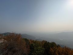 -灵顺寺