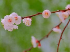 -长春公园(普阳街道)