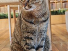 -猫的天空之城概念书店(杭州南宋御街店)