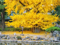 -香山公园