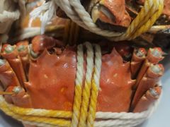 -阳澄湖大闸蟹·琼灵阁牌品牌连锁(吴中总店)