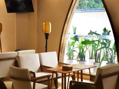 -帐篷客·溪龙茶谷度假酒店