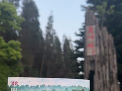 -万峰林风景区