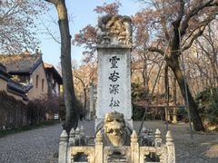 -灵谷景区