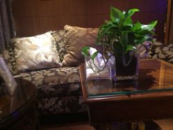 TIME SPA-TIME SPA科技美肤机构