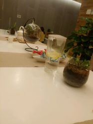 android_upload_pic-卡莫瑜伽·普拉提
