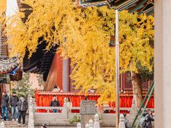 -宝通禅寺