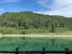 -武陵山森林公园