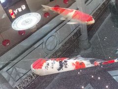 -唐山河头老街国丰维景国际大酒店