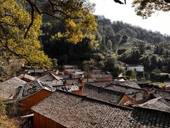 -杨家堂村