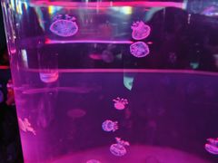 -苏州海洋馆